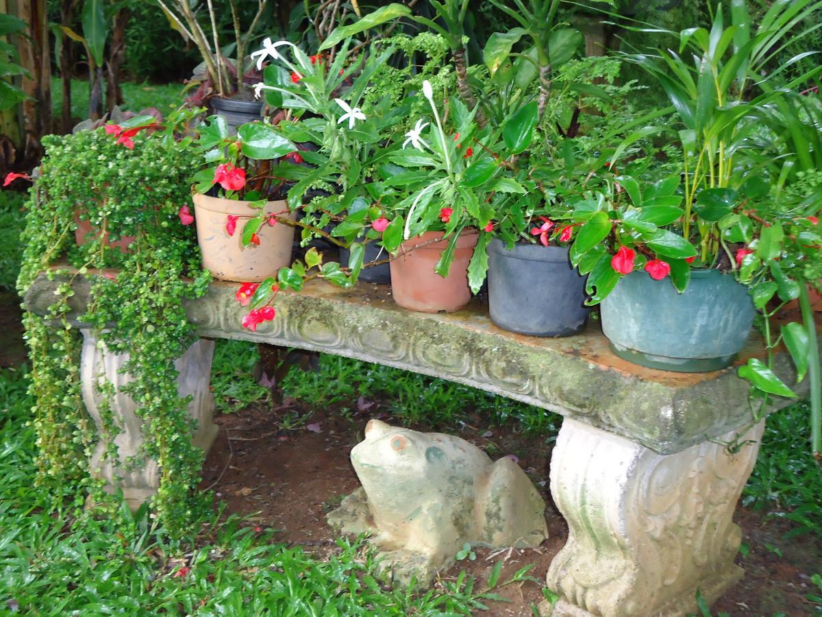 Quinta Don Fernando Bed & Breakfast La Garita  Luaran gambar